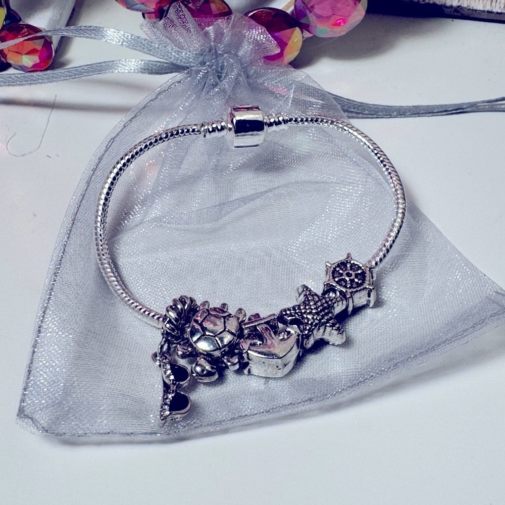 Silver Tone Charm Bracelet NWT